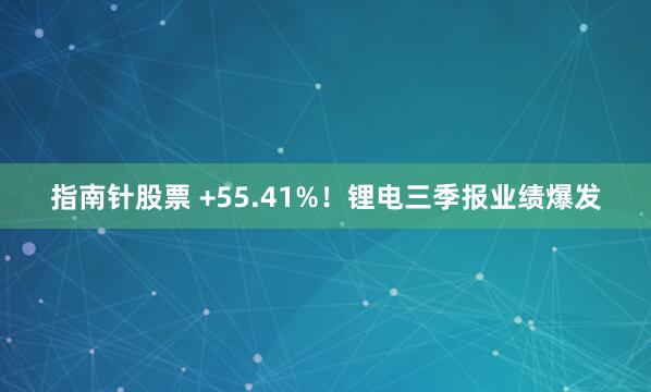 指南针股票 +55.41%！锂电三季报业绩爆发