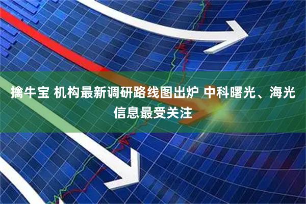 擒牛宝 机构最新调研路线图出炉 中科曙光、海光信息最受关注