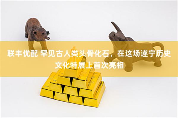 联丰优配 罕见古人类头骨化石,在这场遂宁历史文化特展上首次亮相